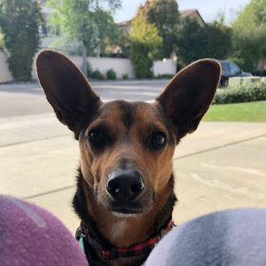 Meet your Posher, Jane